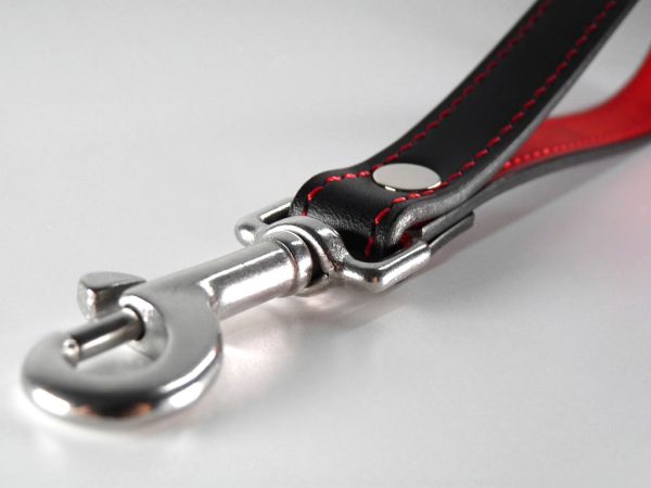 Laisse bdsm courte