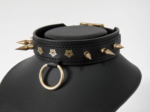 Collier BDSM en Cuir Avec Petit Anneau, Ras-de-cou en Cuir, Choker