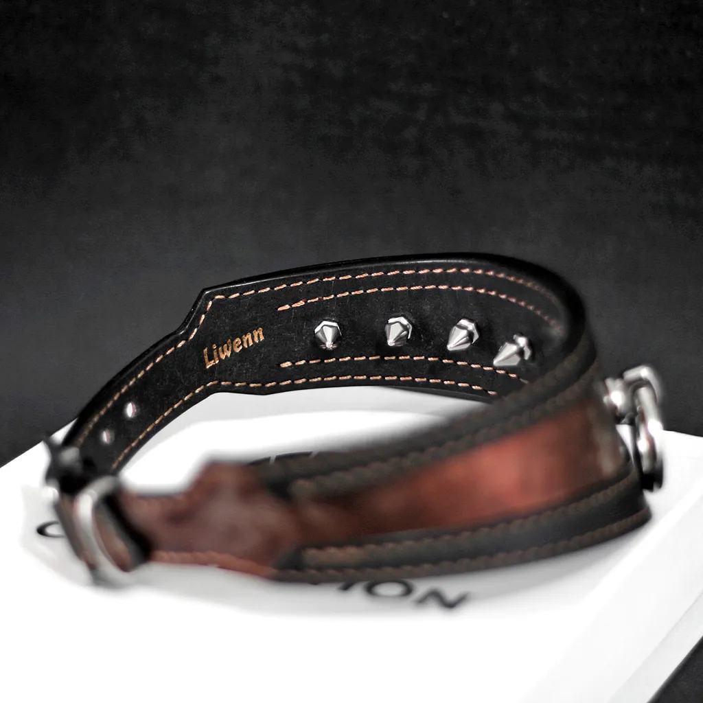 Collier Visor Mk1 Cuivre personnalisé piques intérieur 04