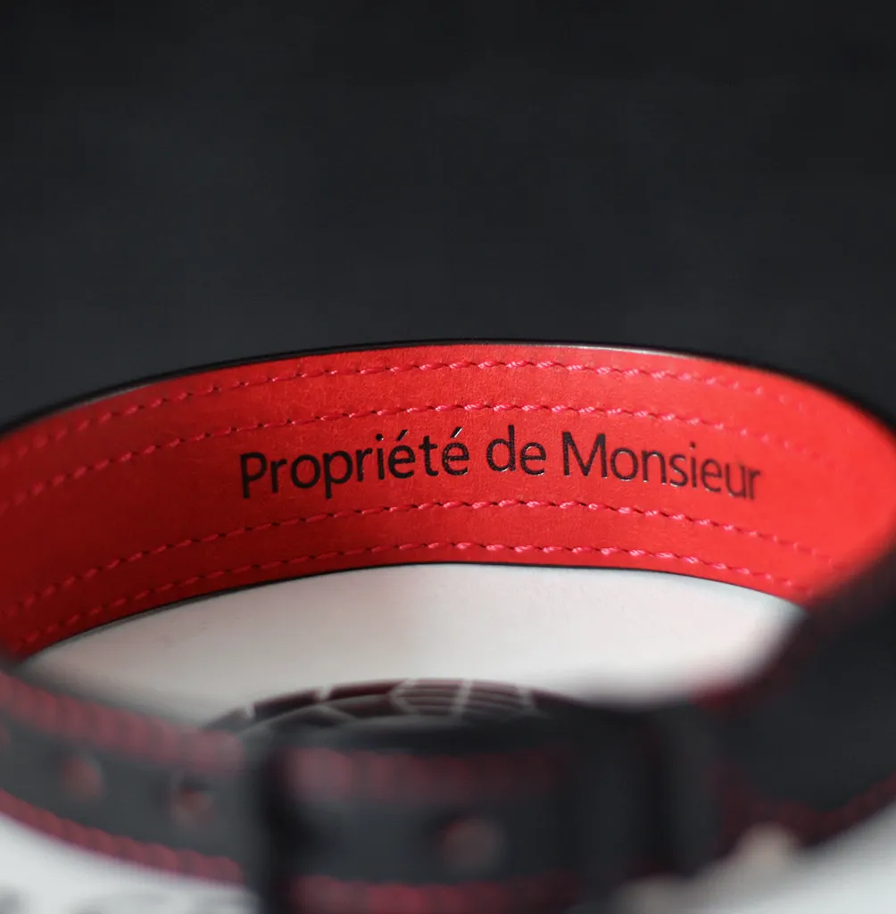 collier soumise propriété de Monsieur