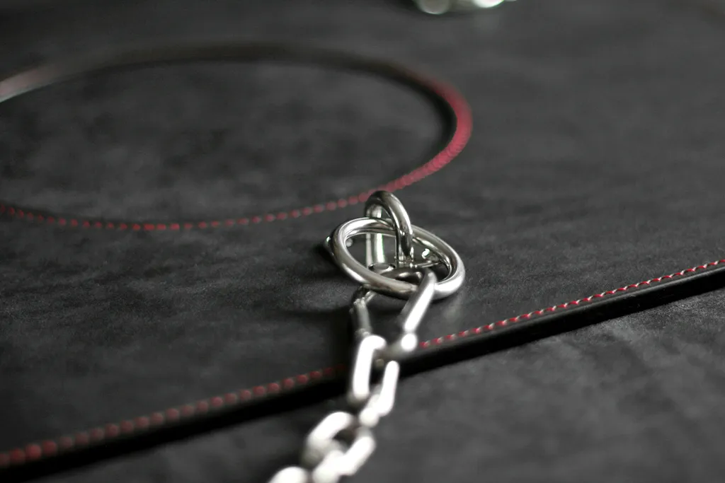 anneau avec chaine sur tapis en cuir SM