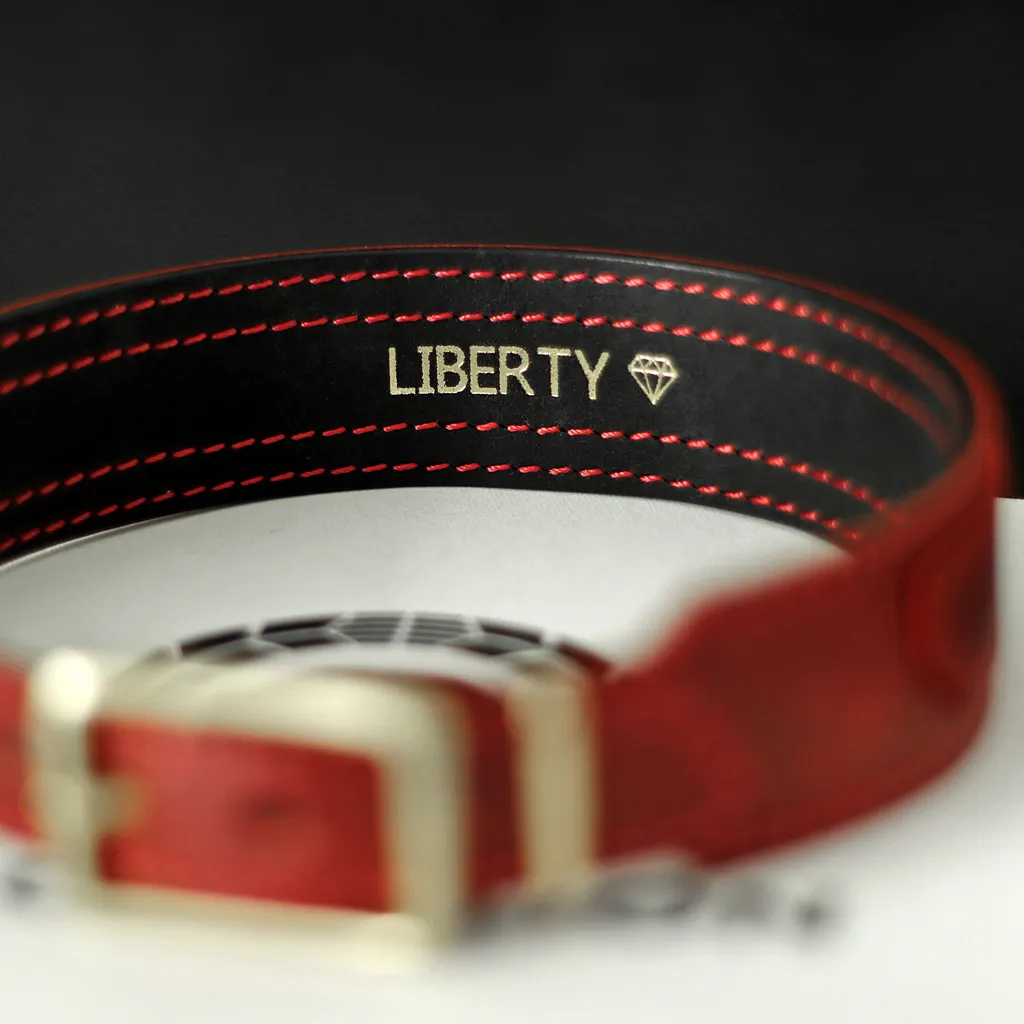 collier soumis doublure noire LIBERTY