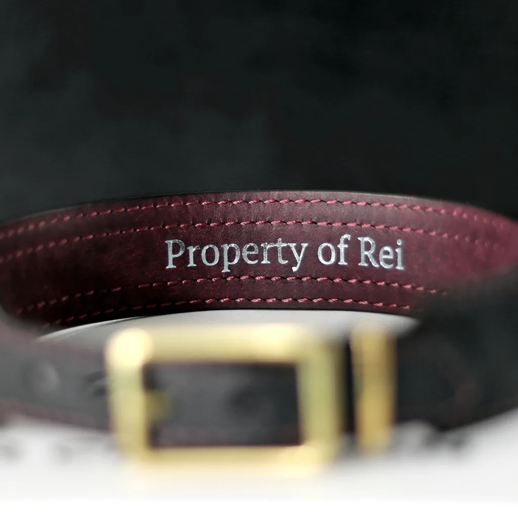 collier soumis personnalisé property of rei