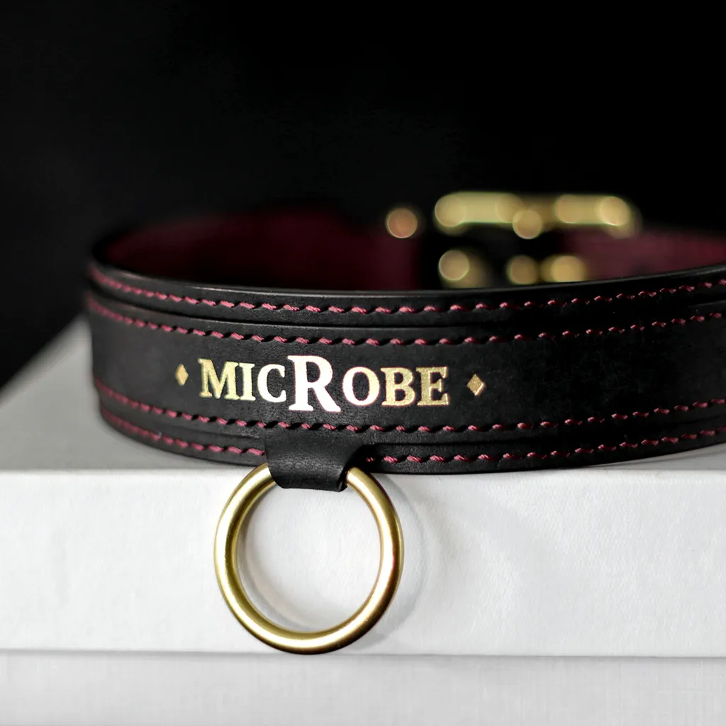 collier de soumis personnalisé en cuir MicRobe
